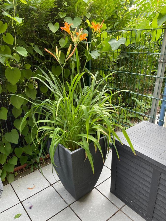 Sonnige Wohnung Im Zentrum Mit Terrasse U Tiefgarage - Netflix & Prime Leipzig Exteriör bild